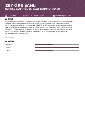 Hasta ve Yaşlı Bakım Elemanı Cv Örnekleri cv indir